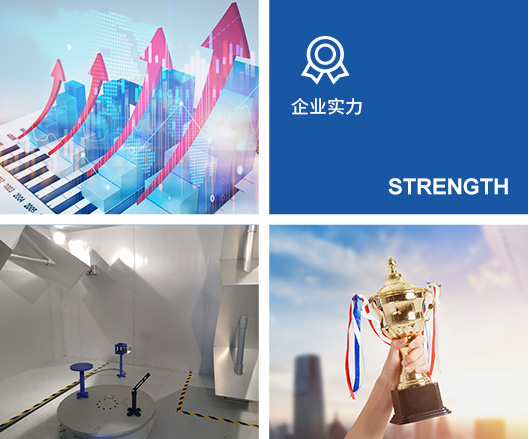 企业实力